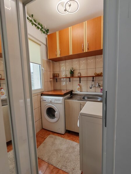 Titan, Nicolae Grigorescu, Postavarul